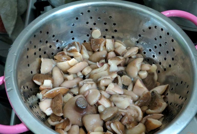 Le farfalle vengono smistate e messe in uno scolapasta.