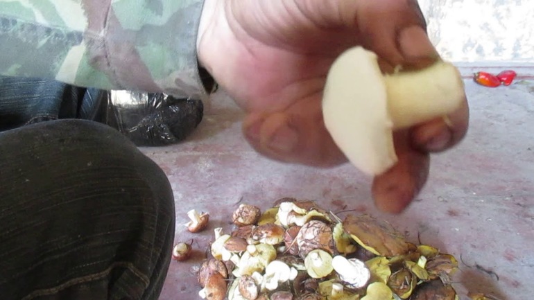 Metodo per la pulizia dell'olio