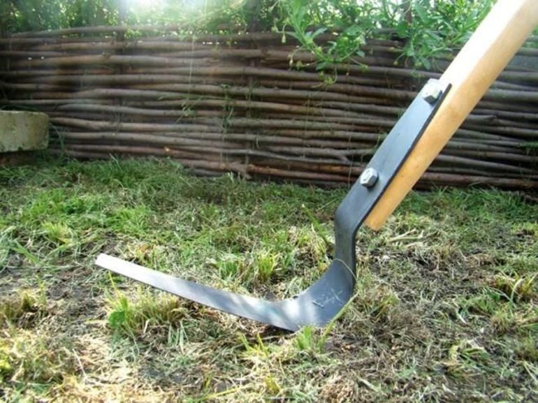 Tutto sulla taglierina per piani Fokine